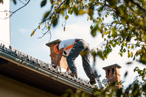 Residential Roof Replacement in Aliceville, AL